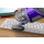 Morphy Richards SuperVac, 734050 - 1386167 - zdjęcie 12